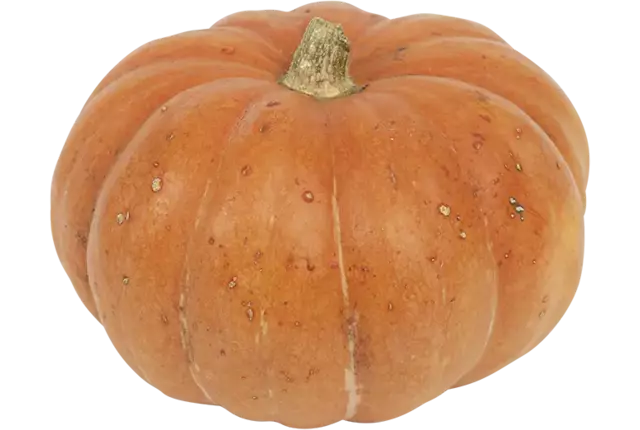 Pompoen Ameroni (1,5 tot 3 kilo) kist 1 stuk